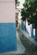 Street in Oudaia Kasbah, Rabat